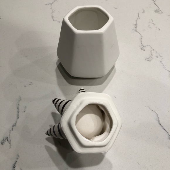 Succulent Ceramic Jar Nate Berkus - Picture 11 of 12